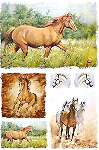 Horse Collage - 2 Sheets