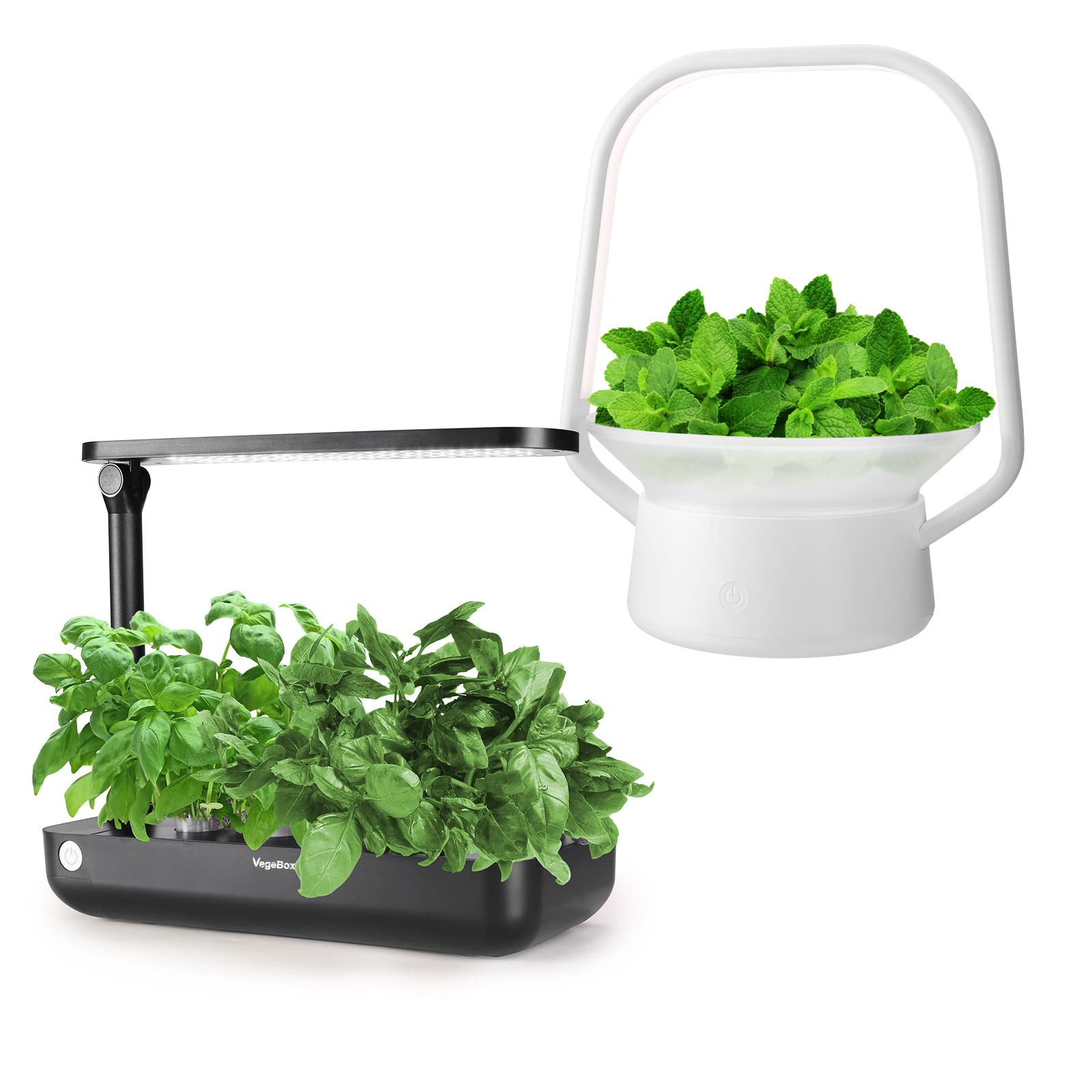 Vegebox Hydroponic Growing System - Smart Indoor Herb Garden Kit for Fresh Basil, Mint & Parsley | Perfect Christmas Gift for Women & Home Gardeners | Grow Fresh Herbs Year-Round in Kitchen, Office or Apartment