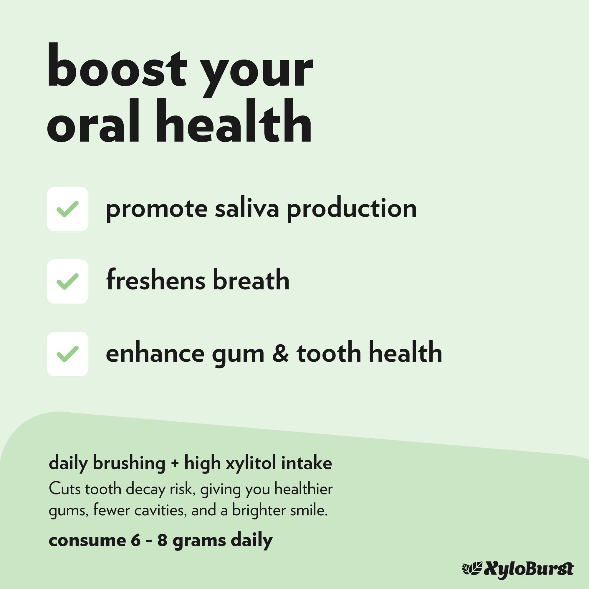 XyloBurst Xylitol Chewing Gum - Sugar Free, Gluten Free, Keto Friendly, Aspartame Free - Wintergreen Flavor for Oral Health & Fresh Breath - 500 Count Bulk Bag - Perfect for Office, Travel, and Post-Meal Freshness