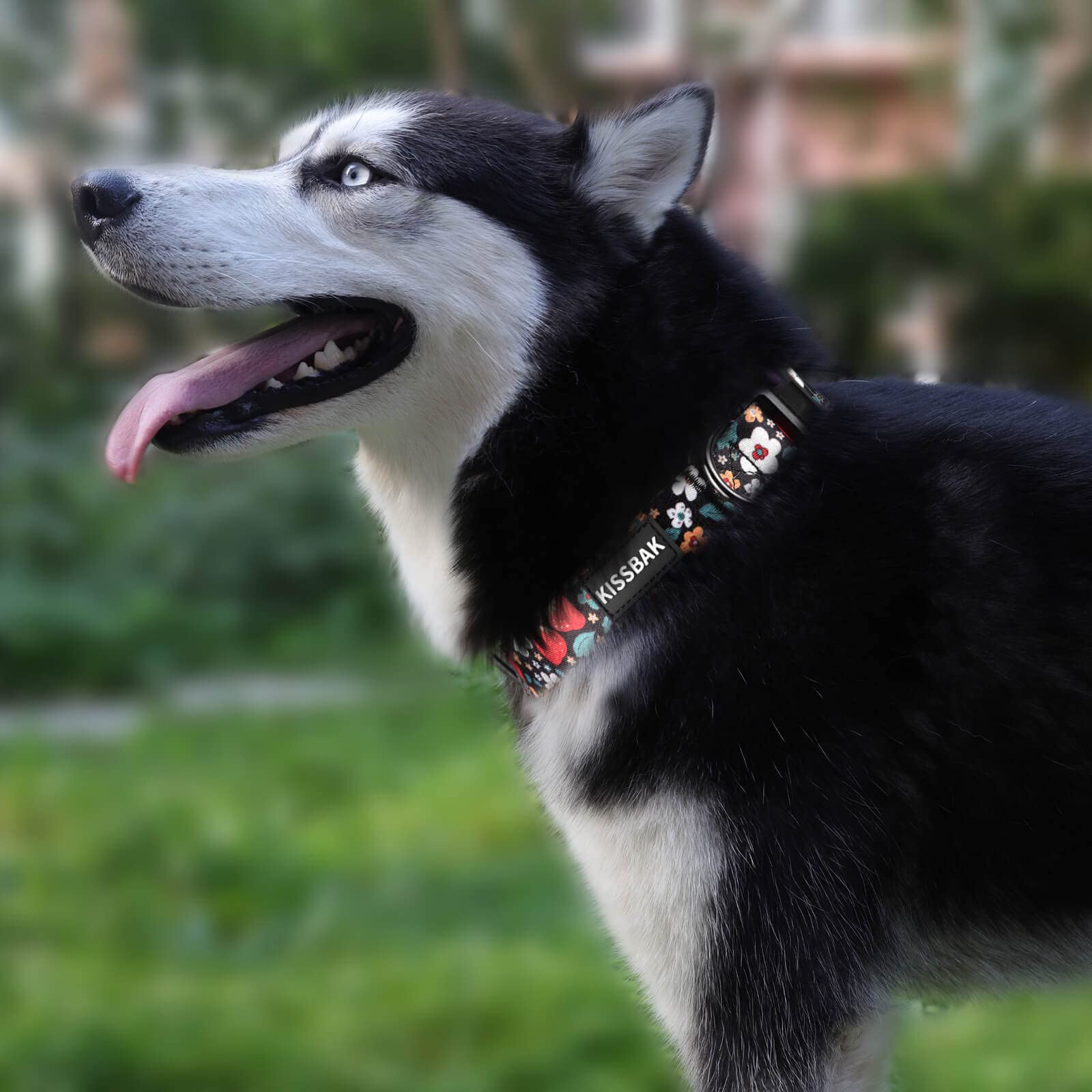 KISSBAK Adjustable Floral Dog Collar for Large Dogs - Soft Cute Strawberry Design Pet Collar for Girl Puppies | Perfect for Daily Walks, Training & Fashion Accessories (Size L)