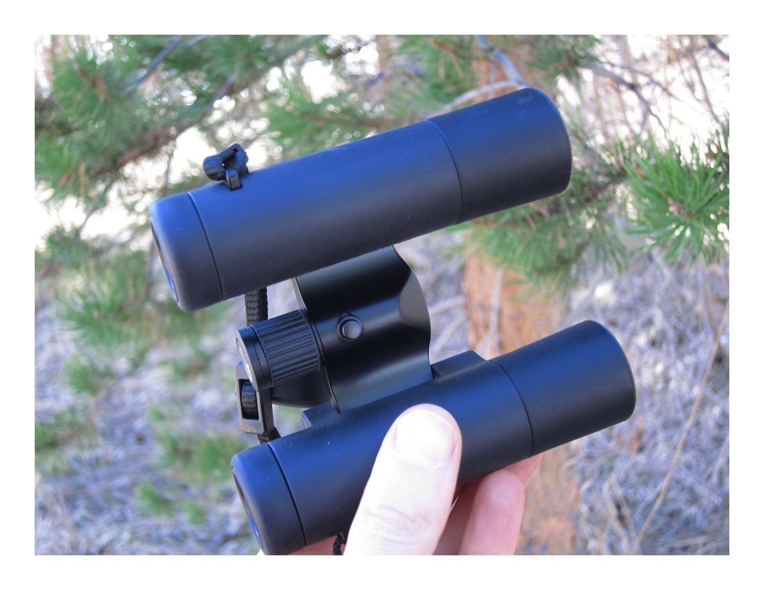 Leica 10x25 Ultravid BR Binoculars - High Power Compact Binoculars for Bird Watching, Hiking & Travel - Durable Black Rubber Armor Coating