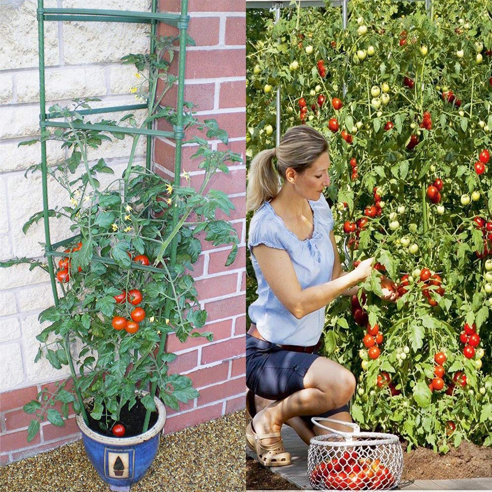 Derlights Adjustable Tomato Cages 3-Pack - Sturdy Plant Supports for Tomatoes, Peppers & Climbing Vegetables with 9 Clips - Ideal for Home Gardens, Raised Beds & Container Planting