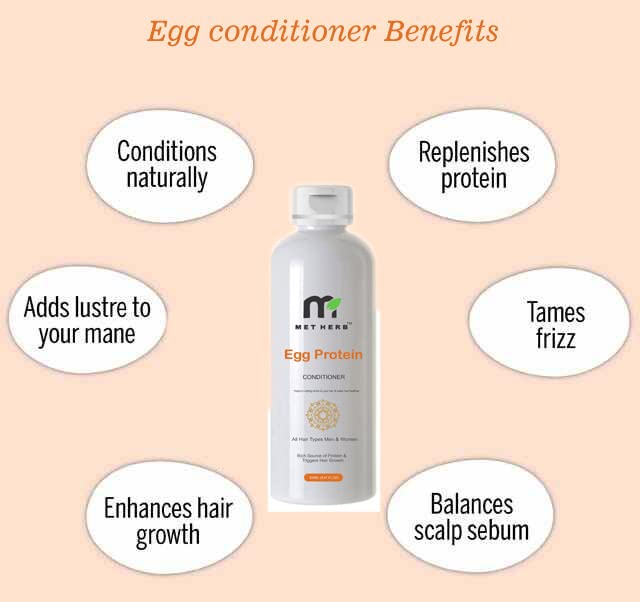 MET HERB Egg Protein Hair Conditioner - Anti Hair Fall Shampoo with Egg White for Thicker, Healthier Hair (200ml) | Daily Nourishment for Damaged & Thin Hair
