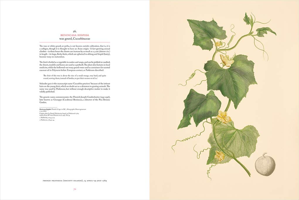 Joseph Banks' Florilegium: Rare Botanical Prints from Captain Cook's First Voyage - Perfect for History Lovers, Botanical Art Collectors, and Home Decor