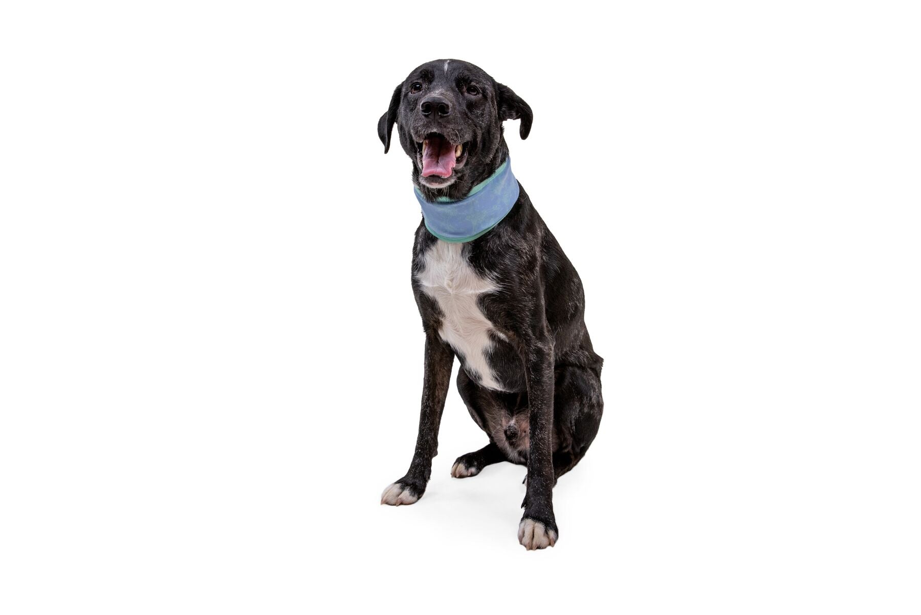 Ruffwear® Swamp Cooler Neck Gaiter - Cooling Bandana in Salmon Pink & Sky Blue for Hiking, Running & Outdoor Adventures