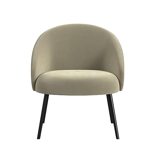 Taupe Velvet