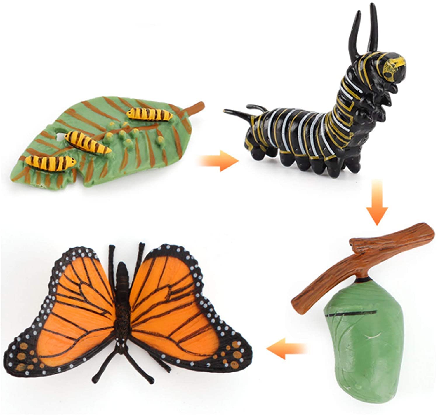 Sureema 4-Piece Realistic Butterfly Life Cycle Biological Model - Educational Farm Animal Growth Figure Toys for Kids, Science Teaching Tools & Cake Toppers | Perfect for Classroom Learning, Birthday Parties & STEM Activities