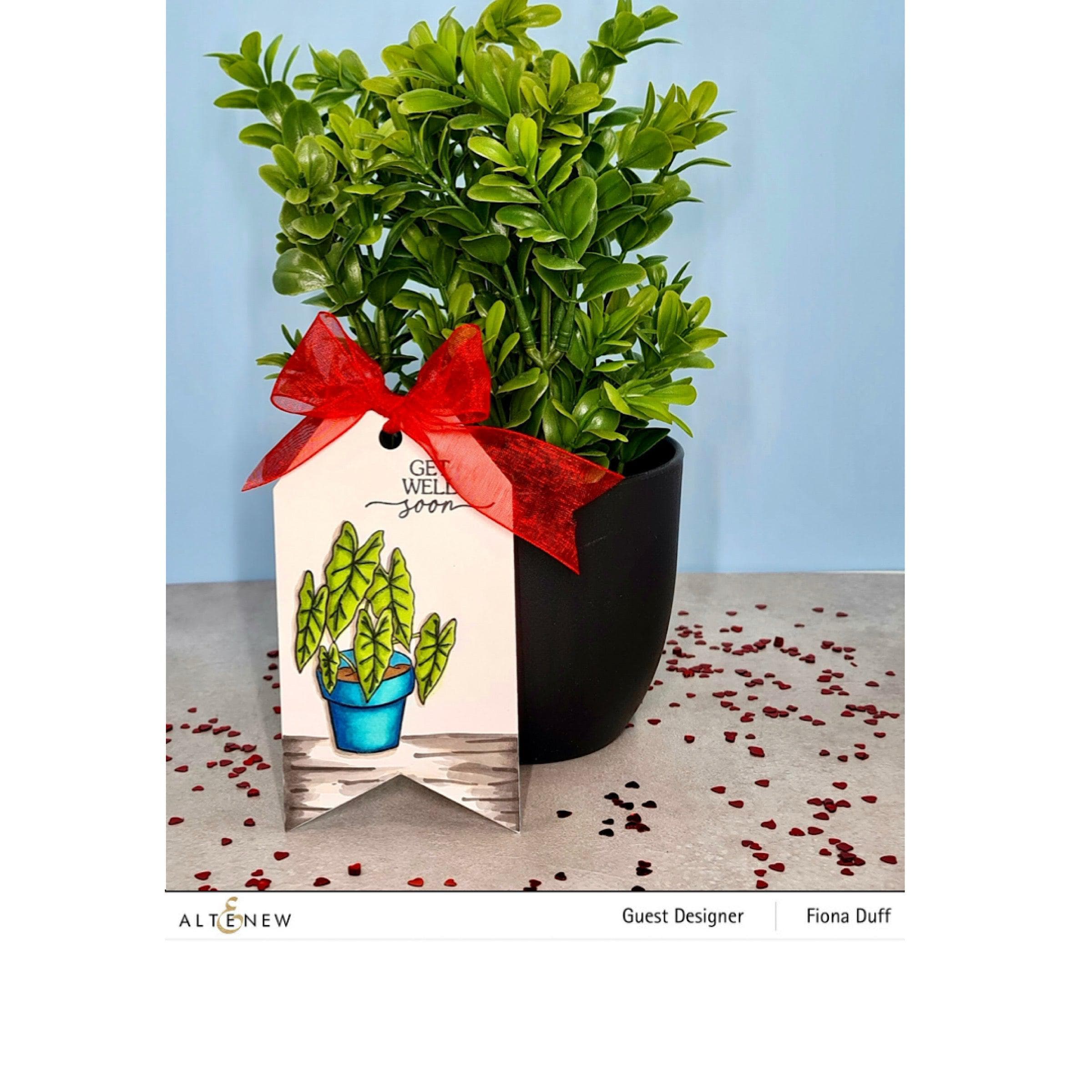 Stunning Alocasia Plant for Home & Office Decor - Perfect for Indoor Greenery and Tropical Plant Lovers
