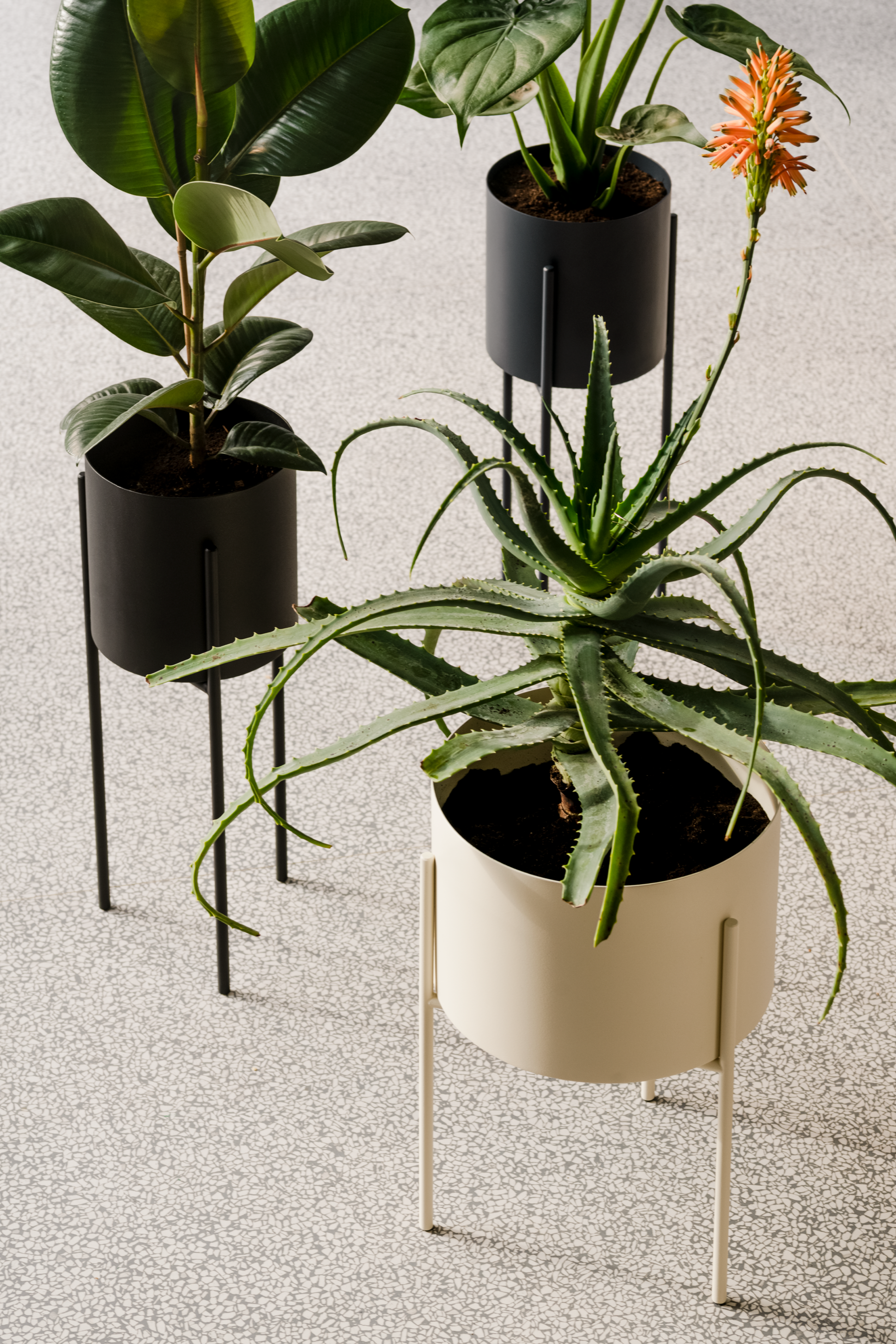 Maki Planter - Wide Modern Ceramic Flower Pot for Indoor Plants, Succulents & Herbs - Perfect for Home Decor, Office Desk & Garden Decorations
