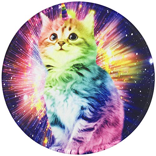 Champion Cat
