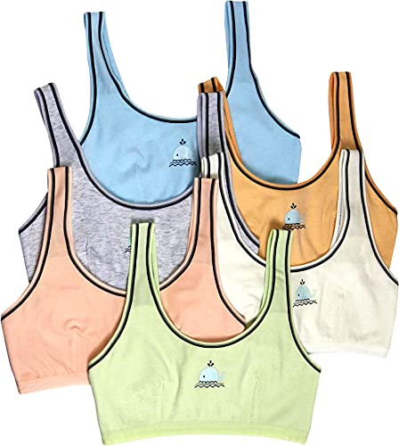 Whale Print Front W/ Stripe Outline (6 Pack)