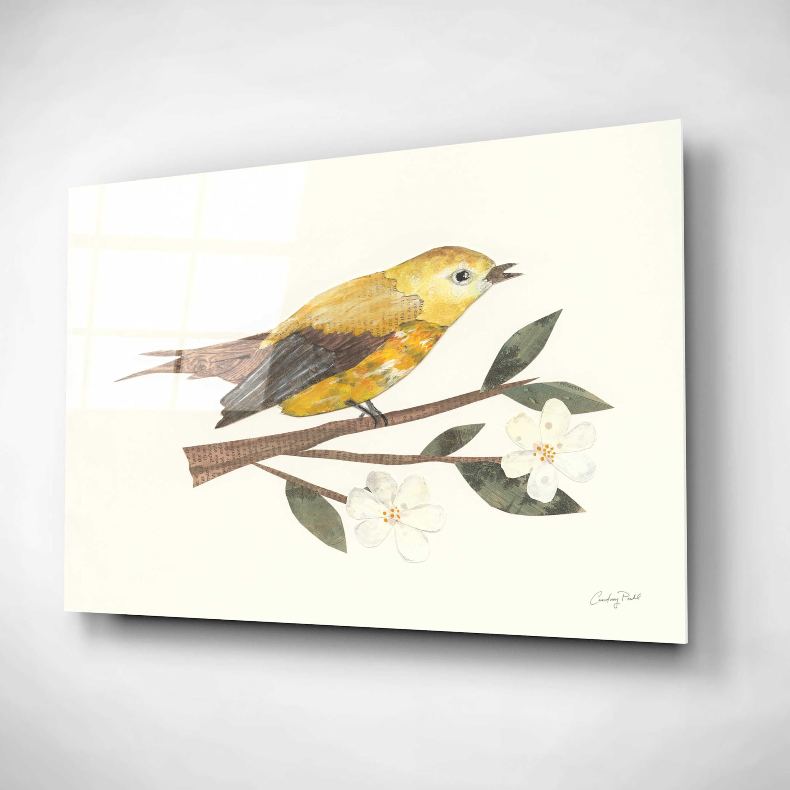 Courtney Prahl 'Birds and Blossoms I' Acrylic Glass Wall Art - 24x16 Inches Modern Home Decor for Living Room, Bedroom & Office