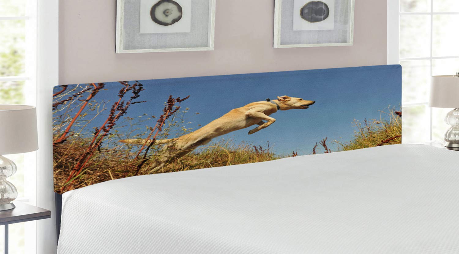 Ambesonne Hunting Headboard - Purebred Labrador Retriever Jumping in Field with Blue Sky, Upholstered Metal Bed Headboard with Memory Foam, King Size, Multicolor - Perfect for Dog Lovers' Bedroom & Hunting Cabin Decor