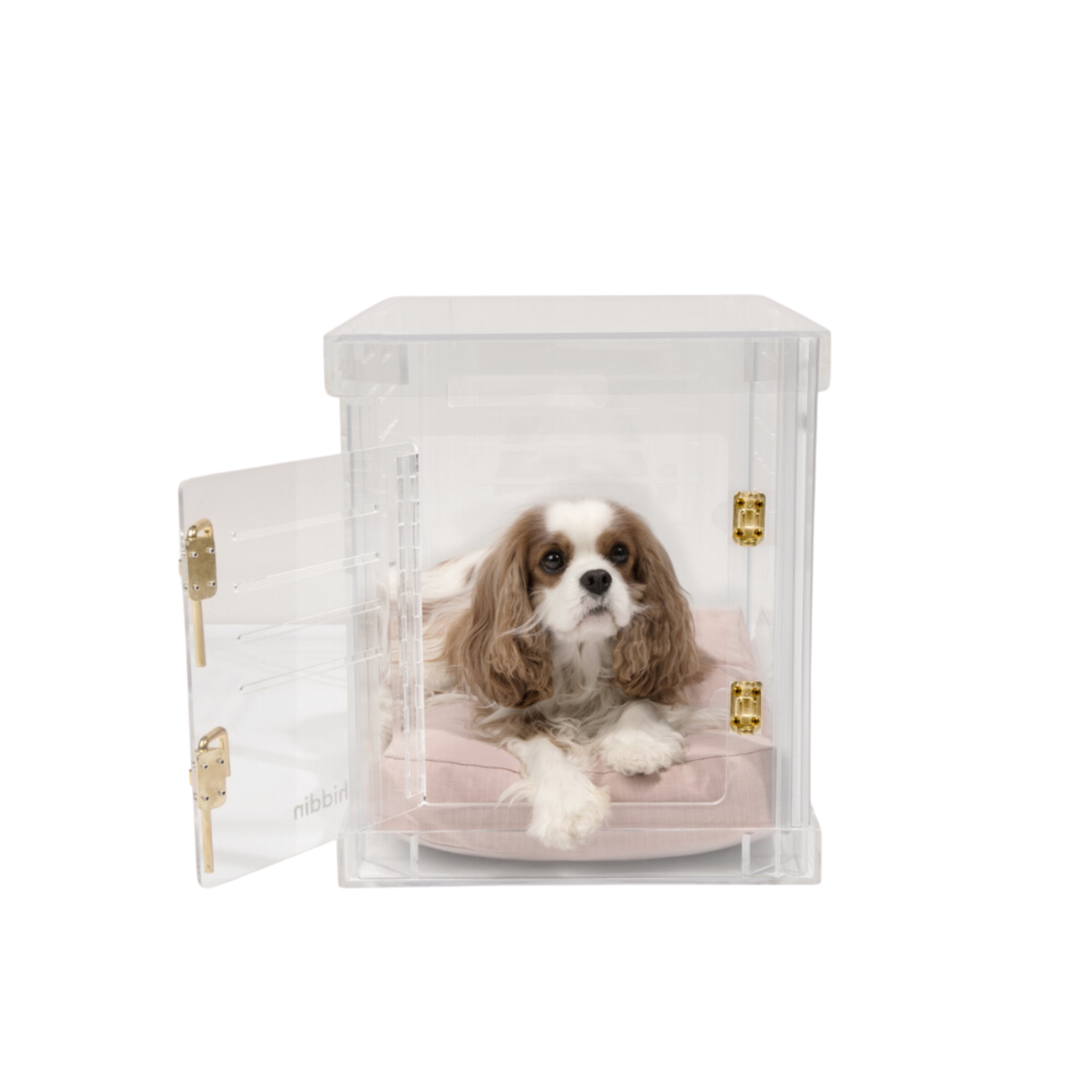 Clear Plastic Dog Crate with Removable Gate - Portable Pet Carrier for Small to Medium Dogs - Perfect for Travel, Training & Home Use