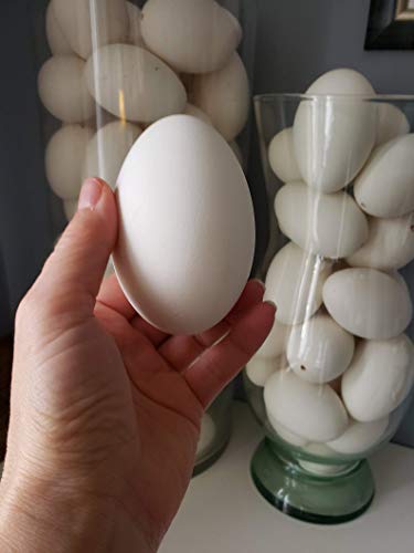 Ukrainian Easter Egg DIY Kit - Hollow Blown Eggshell for Pysanky Art, Easter Egg Decorating Supplies - Perfect for Easter Crafts, Holiday Decorations & Gift Making