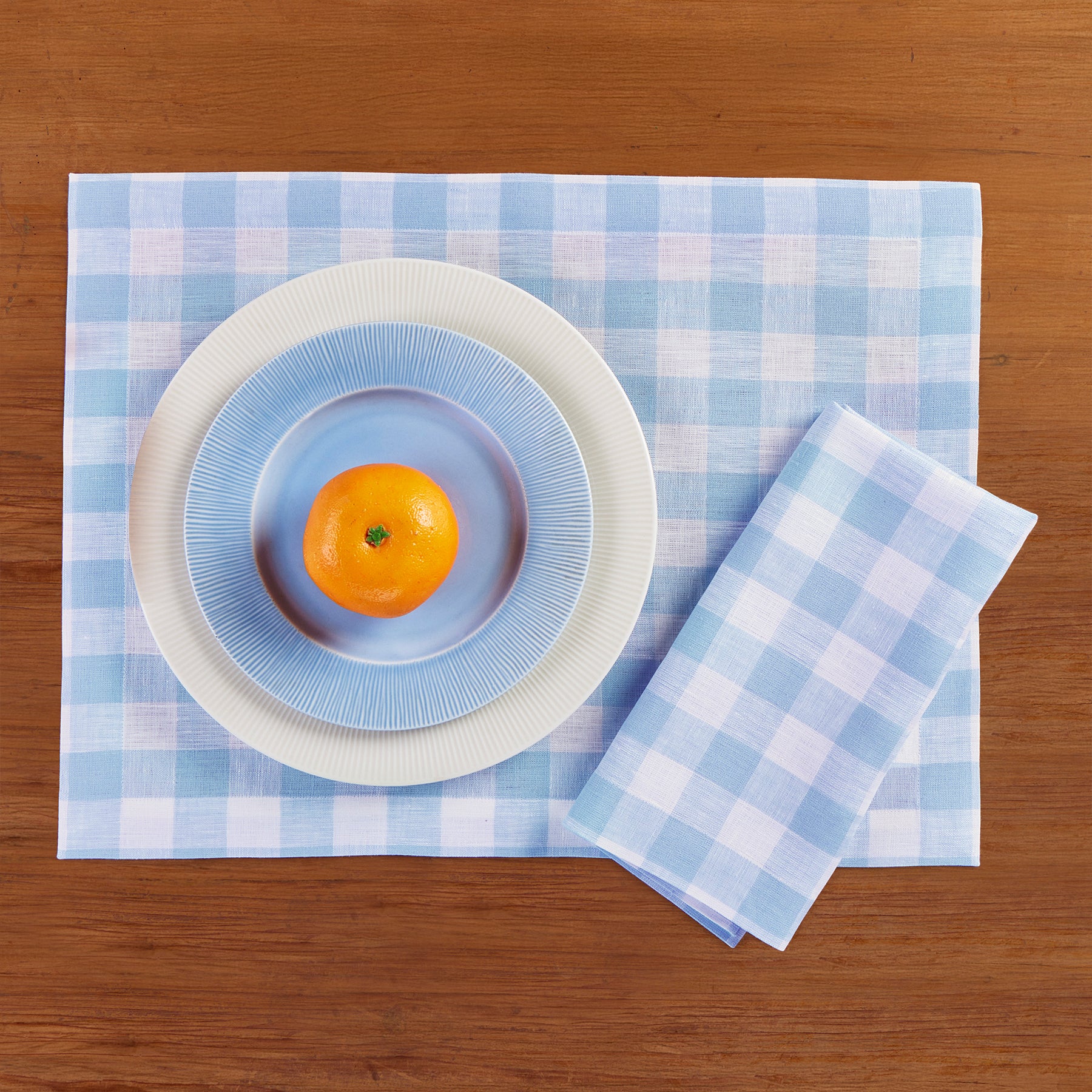 Morgan Check Placemats Set of 4 - Premium Cotton Table Mats for Dining, Kitchen & Holiday Decor - Washable & Durable Place Settings for Everyday Use & Special Occasions