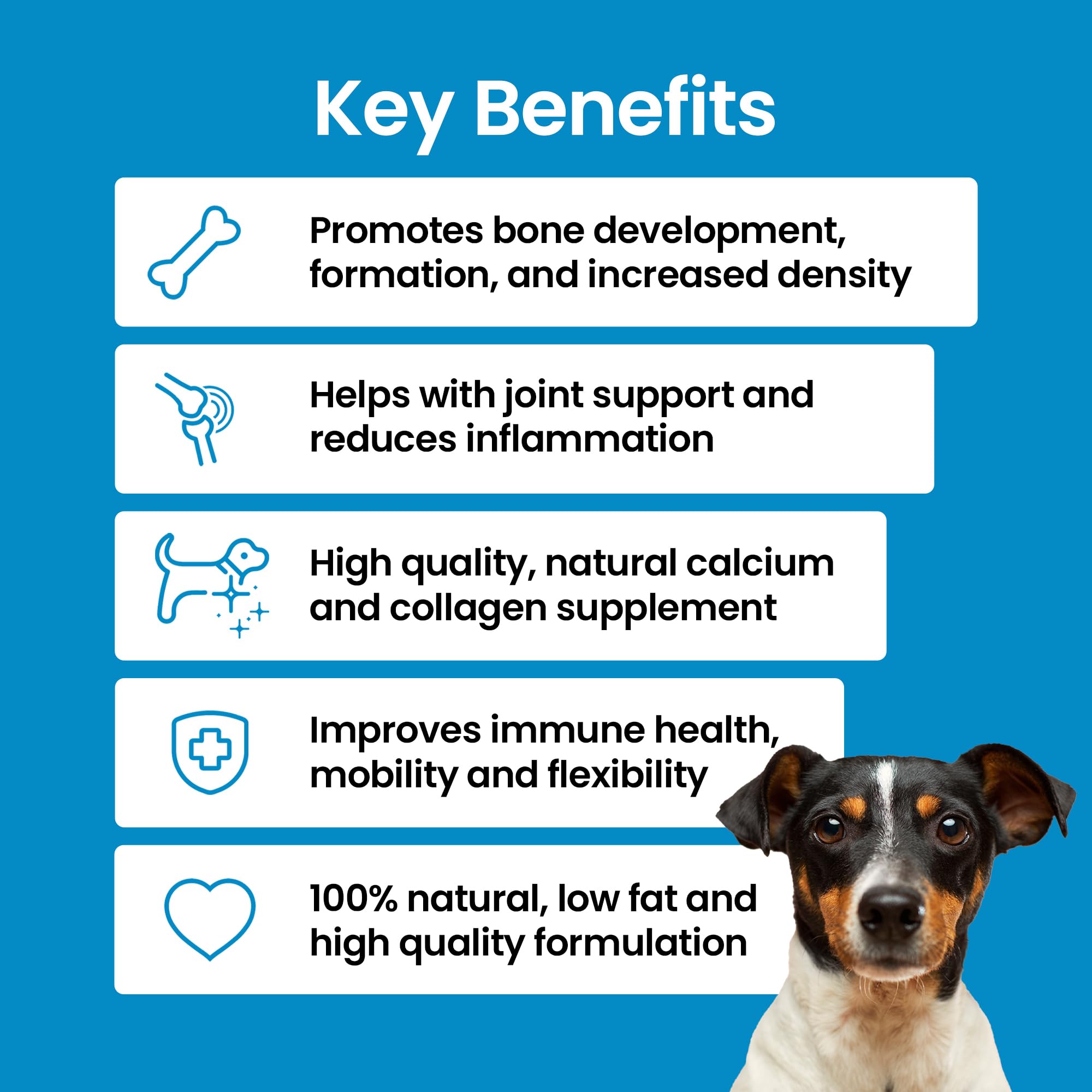 Premium 100% Natural Calcium Hydroxyapatite Powder for Dogs - Bioavailable Bone & Joint Supplement with Collagen | Low-Fat Calcium Bone Meal for Strong Bones & Healthy Joints | Ideal for Senior Dogs & Active Pets (200g) | Supports Mobility & Bone Health for Daily Wellness