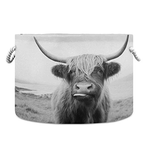 Scottish Highland Cow Large Round Storage Basket with Handle - Collapsible Decorative Laundry Hamper for Baby Blankets, Toys & Towels - Cotton Rope Nursery Organizer Bin (20