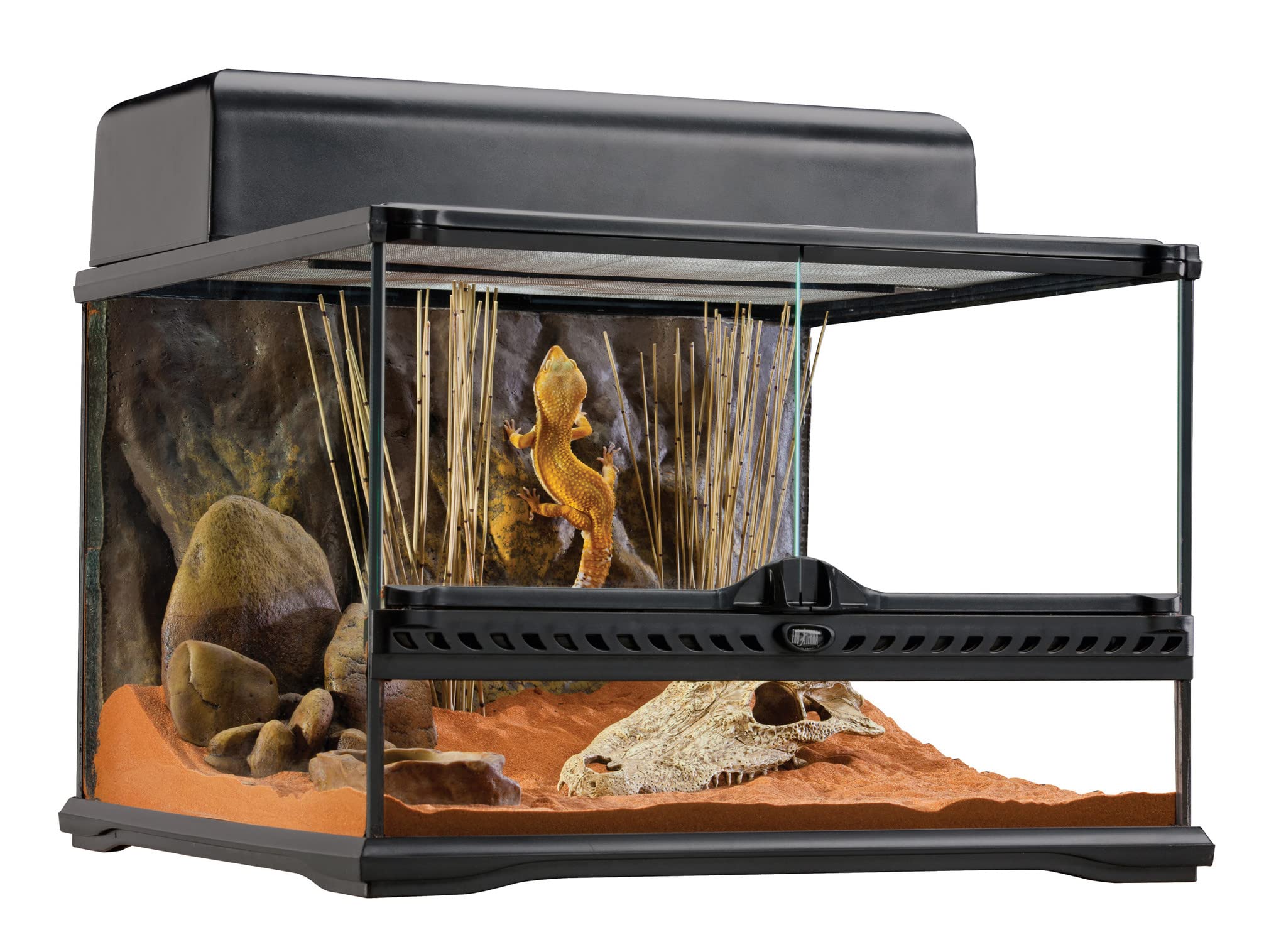 Exo Terra 18x18x12 Inch Short All Glass Terrarium for Reptiles, Amphibians & Small Pets - Ideal for Geckos, Frogs & Snakes in Home or Classroom Habitats