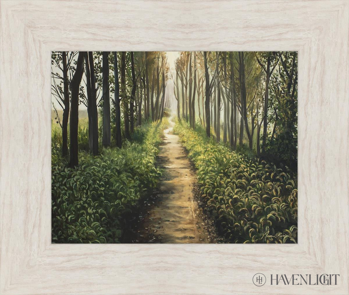 Forest Walkway - Beautiful Wooden Pathway for Gardens, Parks & Trails | Perfect for Outdoor Decor & Nature Walks