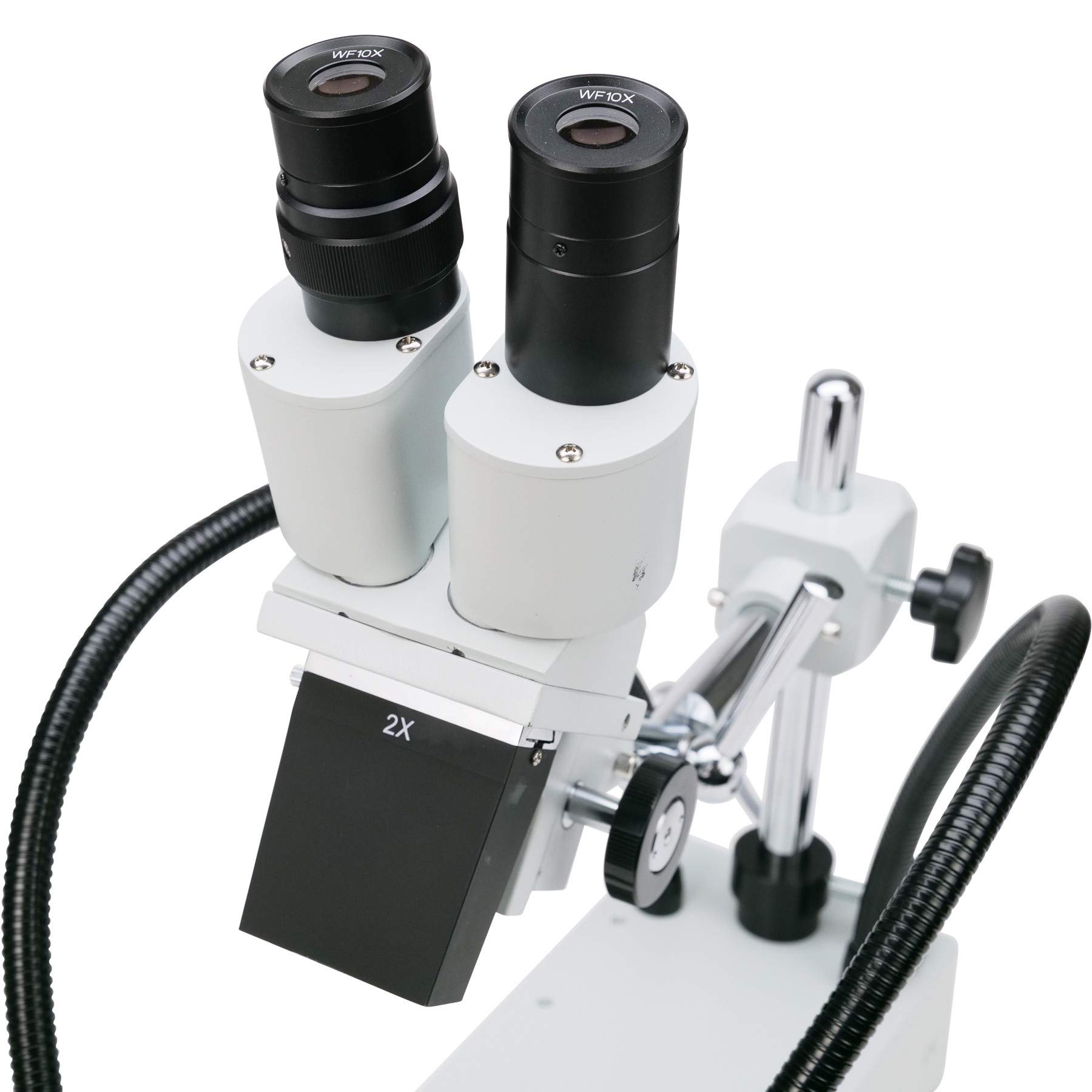 AmScope SE420-2L 20X Stereo Boom Microscope with Dual LED Lights - Compact Fixed Lens for Jewelry Repair, Coin Collecting & Electronics Inspection