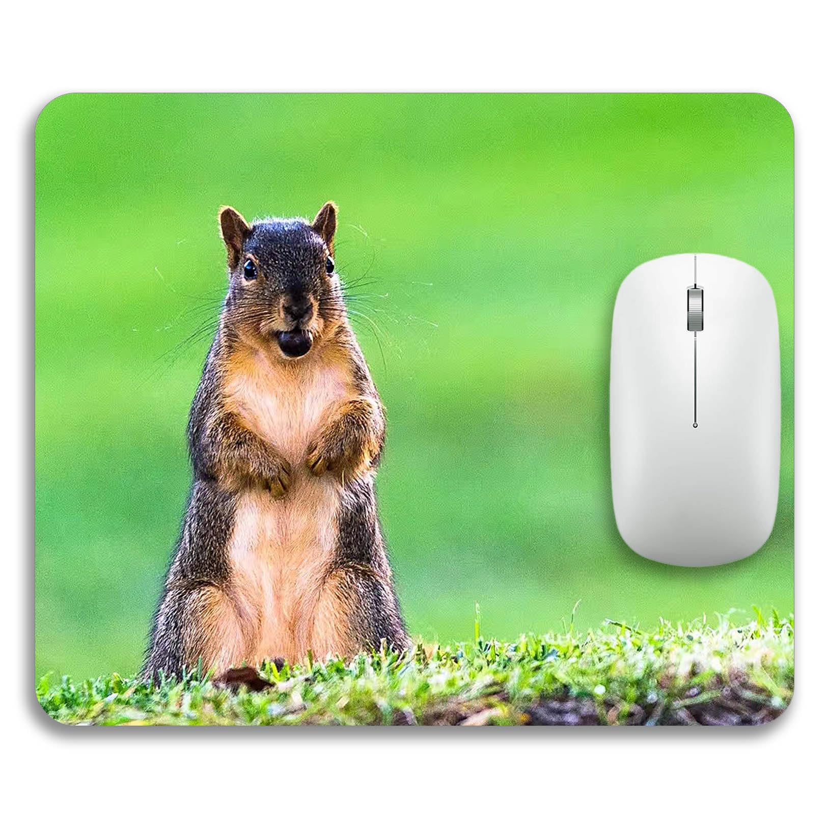 Cute Animal Mouse Pad - Soft Non-Slip Rectangle Mouse Mat for Computer & Laptop - Perfect for Home Office & Gaming Setup