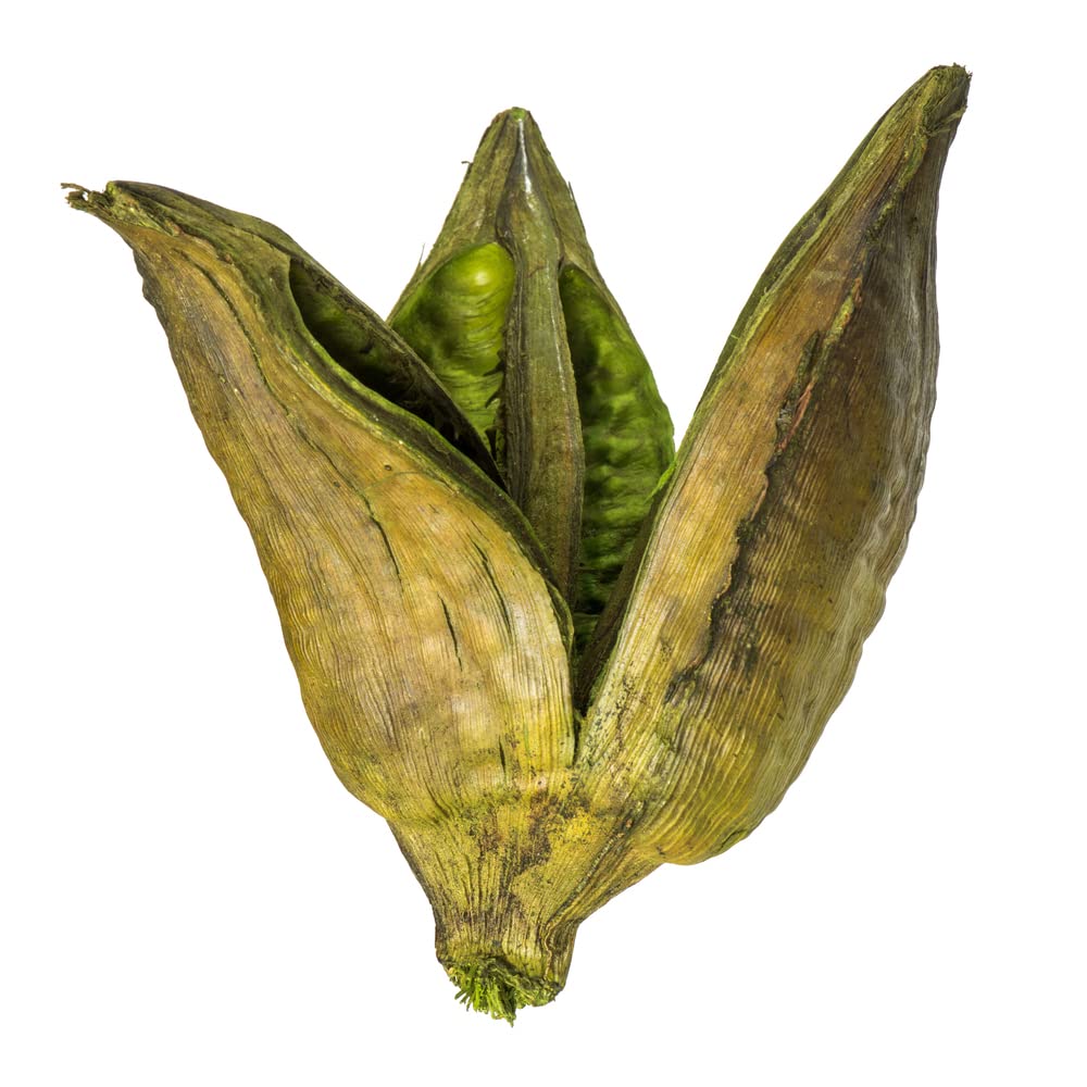 Vickerman 656327-3-4