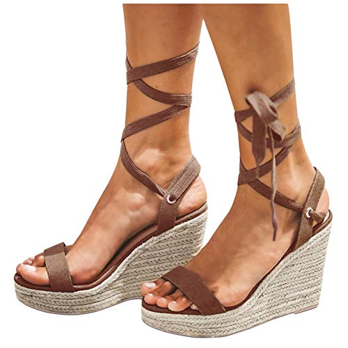 Z6-brown