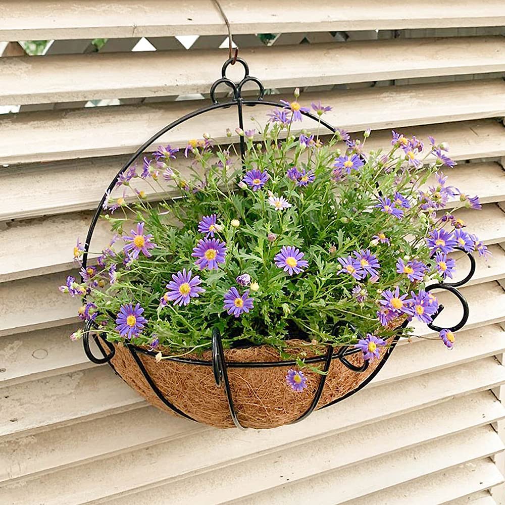2pcs Thick Coco Coir Liners for Hanging Baskets - 10 Inch Semicircle Coconut Fiber Plant Basket Liners, Insulating Flower Pot Basket Coconut Mat for Indoor/Outdoor Garden Decoration | Perfect for Ferns, Orchids & Hanging Flower Arrangements