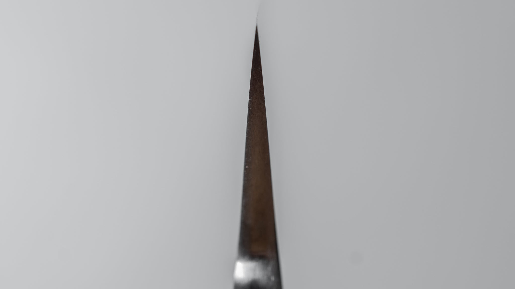 Premium Jiro Tsuchime Wa Sujihiki 210mm Japanese Slicing Knife with Taihei Tagayasan Handle (#377) - Perfect for Sushi, Sashimi & Meat Carving