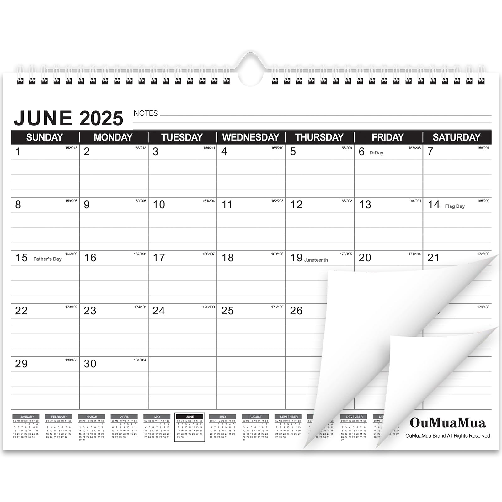 OuMuaMua 2025-2026 Wall Calendar | 19-Month Hanging Planner (June 2025 - December 2026) | 14