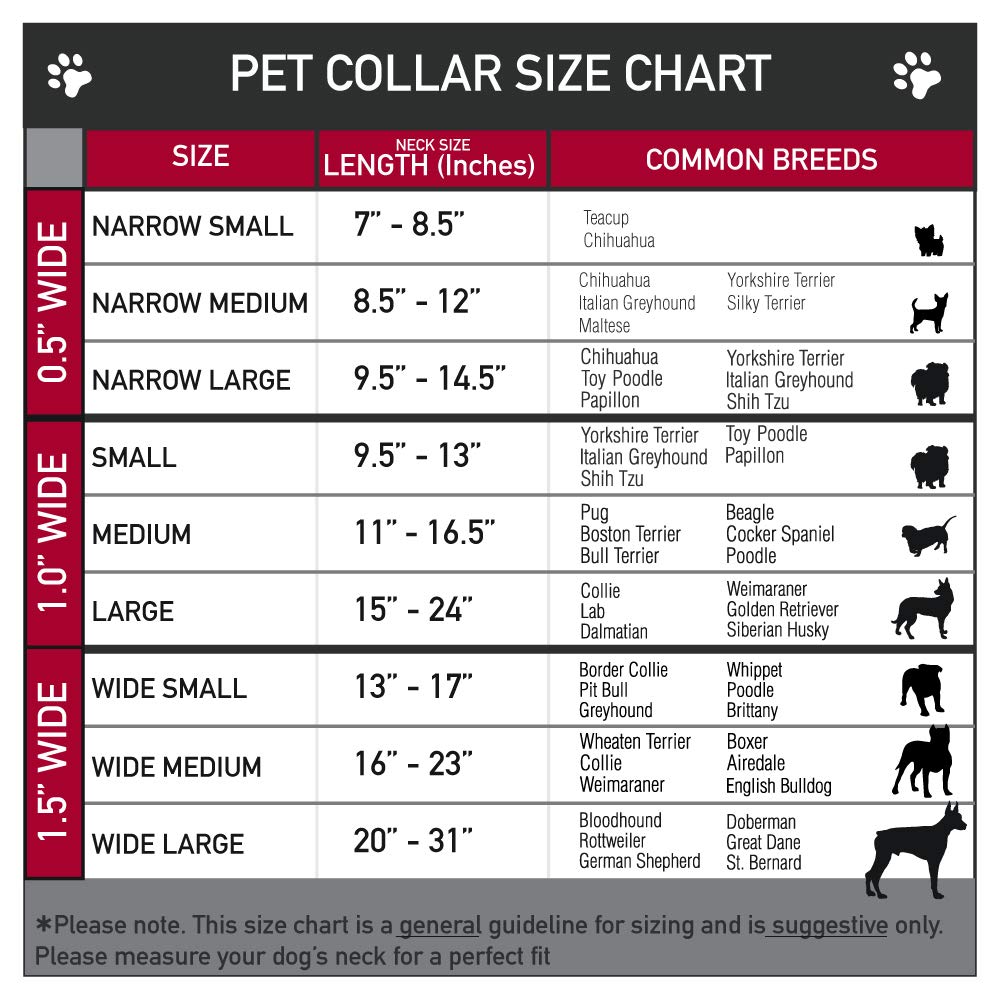 Buckle-Down Plastic Clip Dog Collar - 1