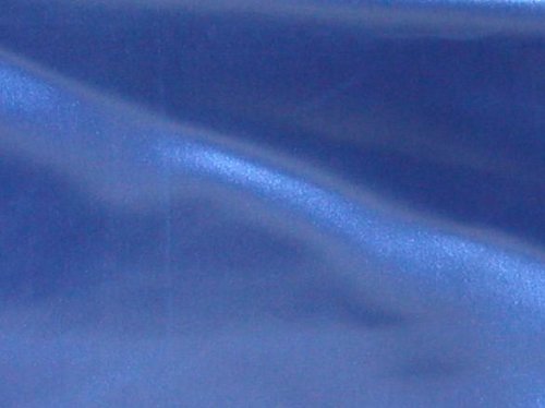 50Ft x 5Ft Wide Royal Blue Satin Aisle Runner for Weddings & Red Carpet Events - Seamless Wedding Ceremony Decor & Grand Event Walkway