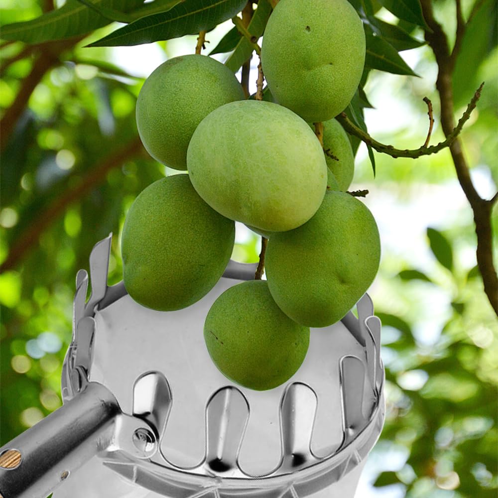 2024 New Portable Fruit Picker Head Basket - Garden Harvesting Tool for Berries, Pears, Peaches & Cranberries | Lightweight Fruit Picking Basket for Easy Harvesting in Orchards & Backyards