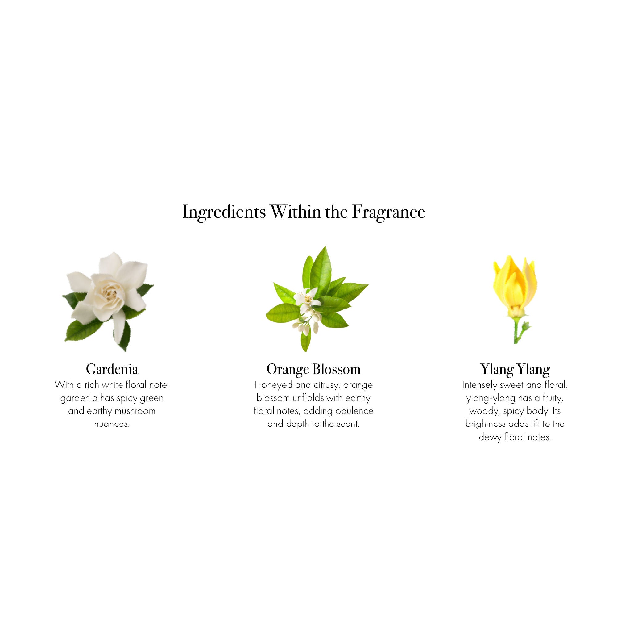 Fresh Cut Gardenia Reed Diffuser - Long Lasting Floral Home Fragrance for Living Room, Bedroom & Bathroom - Aromatherapy Air Freshener for Relaxation & Stress Relief