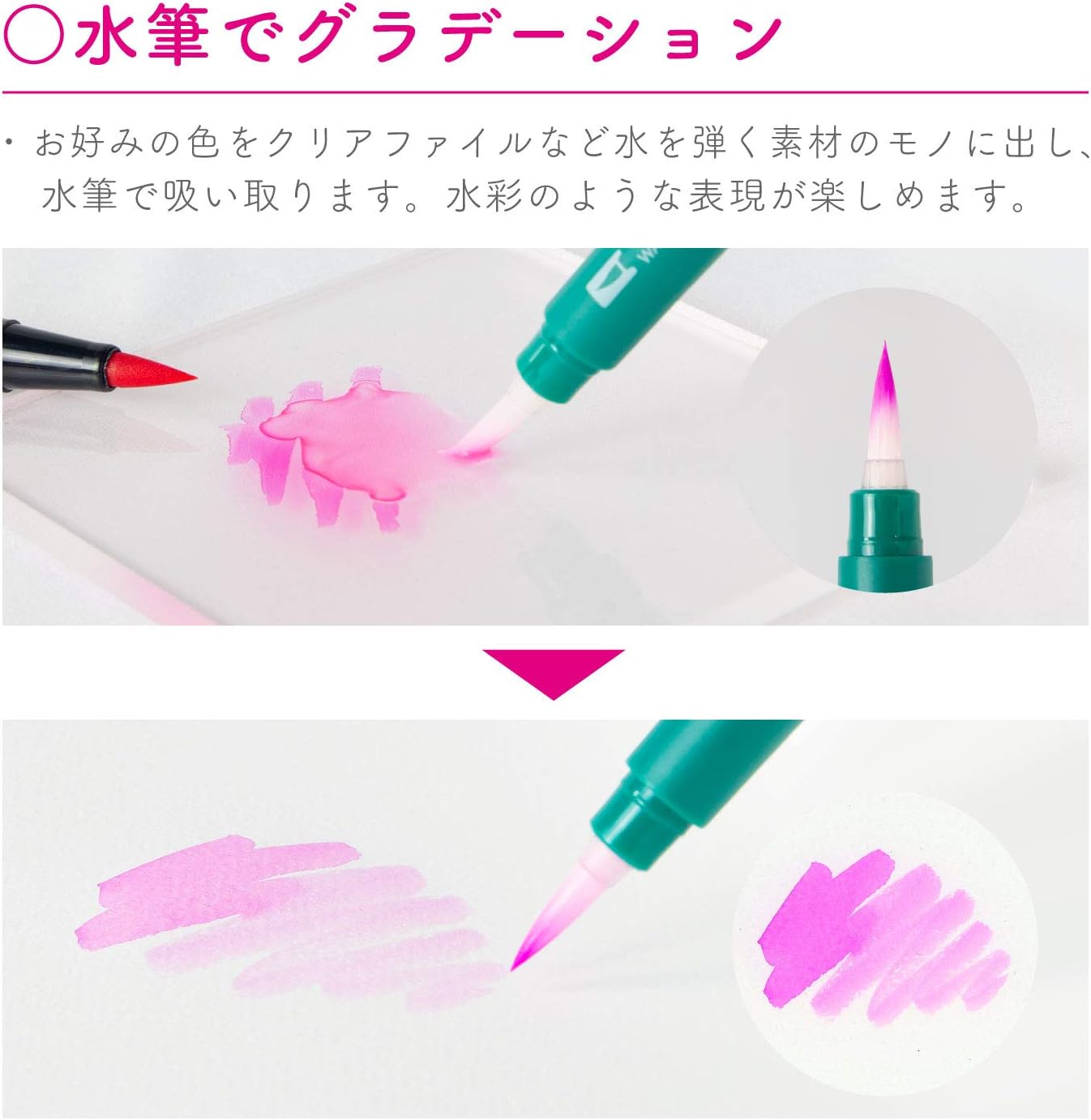 Tombow Dual Brush Pen Set - 12 Vibrant Colors for Calligraphy, Hand Lettering & Art Journaling | Perfect for Hobonichi Planners, Bullet Journals & DIY Crafts