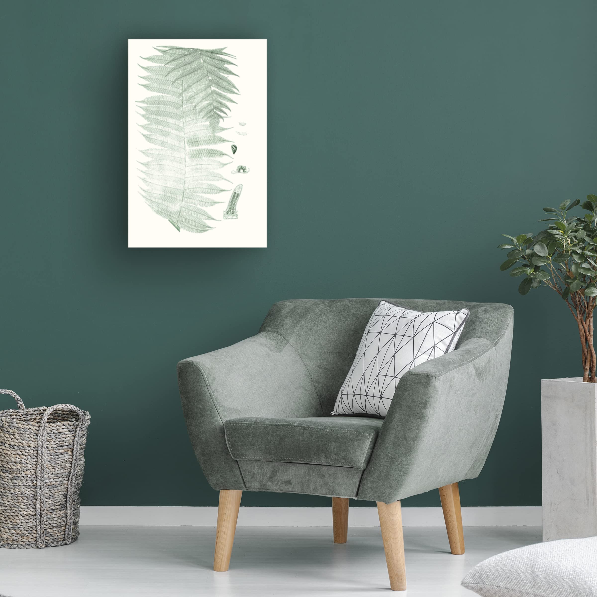 Trademark Fine Art 'Verdure Ferns VI' Canvas Wall Art Print by Vision Studio - Elegant Botanical Decor for Living Room, Bedroom & Office