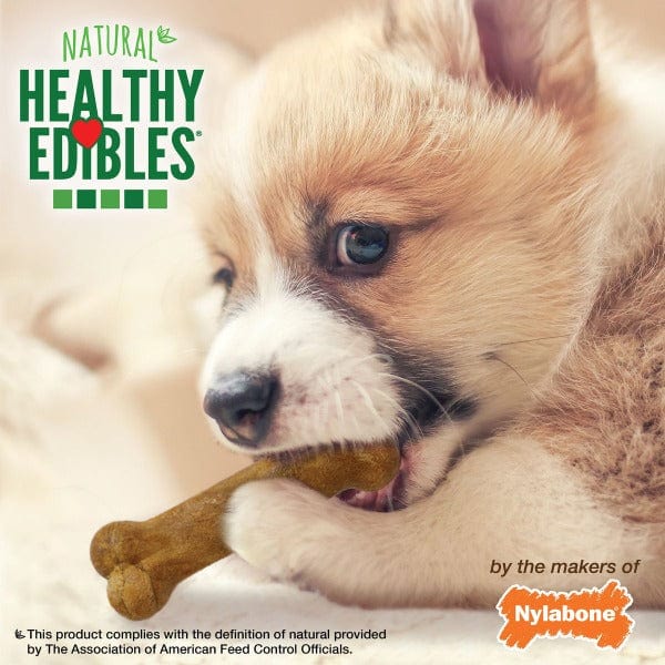 Nylabone Healthy Edibles Lamb & Apple Flavor Small Dog Chews - Tasty Dental Treats for Teething Puppies & Training Rewards