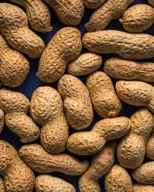 A-peanut Food Funny