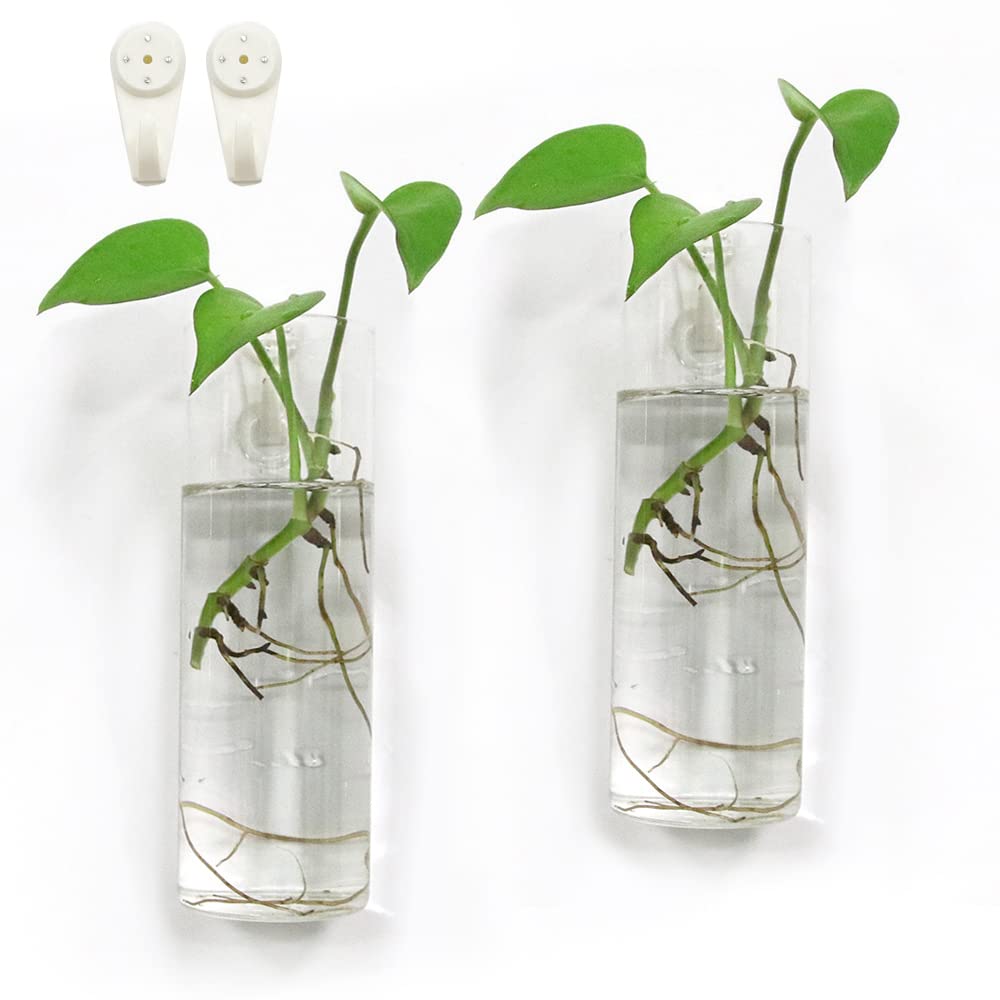 Glass Wall Planters for Indoor Plants - 2 Pack Hanging Terrarium Planters with Wall Mount, Perfect for Floral Arrangements, Succulents, and Air Plants - Ideal for Home, Office, and Garden Decor