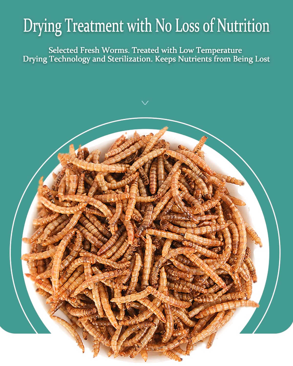 Premium Dried Mealworms for Reptiles & Pets - High Protein Food for Bearded Dragons, Lizards, Turtles, Chameleons, Birds & Small Animals (3.5oz) | Ideal for Feeding Bearded Dragons, Chicken Treats & Wild Bird Food
