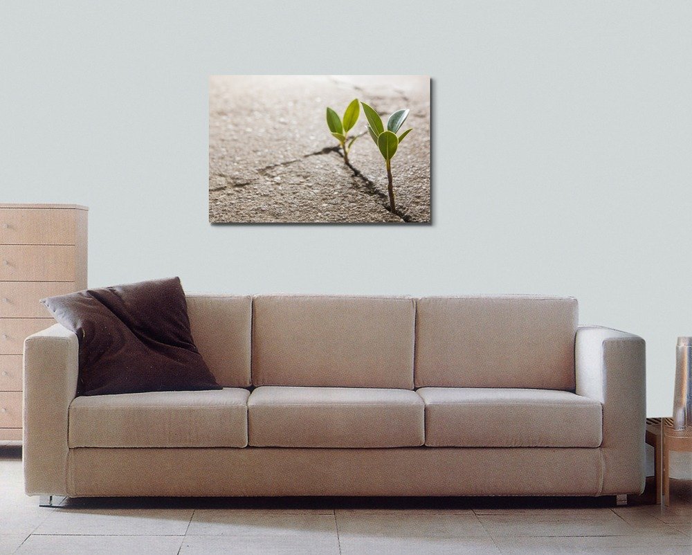 Modern Weed Growing Through Crack in Pavement Canvas Wall Art - 32