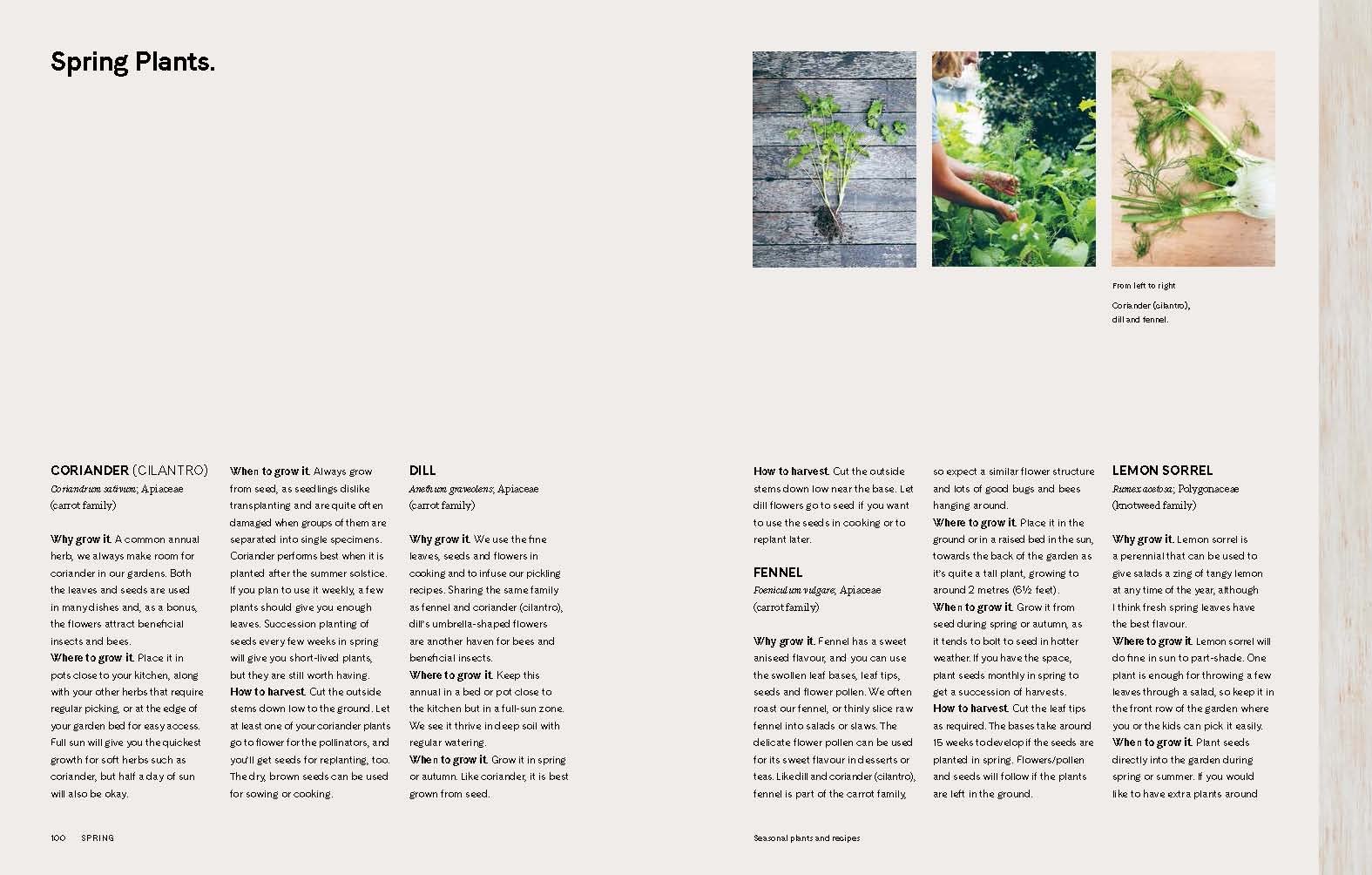 Slow Down and Grow Something: The Urban Grower's Guide to Organic Gardening for a Healthy Lifestyle - Perfect for Small Spaces, Balconies & Urban Homes