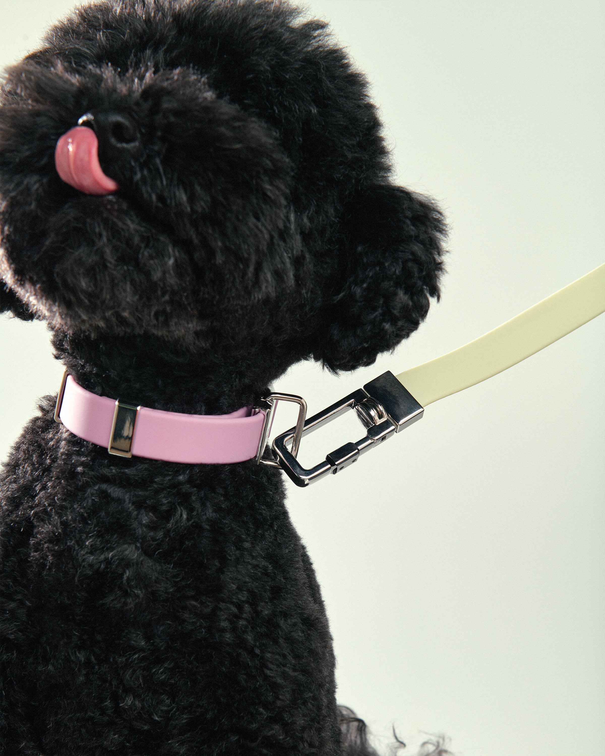 Durable and Adjustable Pet Leash for Dogs - Perfect for Walking, Training, and Outdoor Adventures