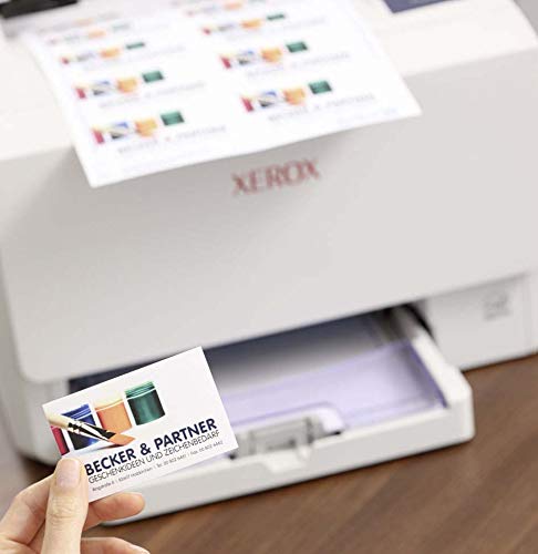 Avery C32015-10 Printable Double-Sided Business Cards - 80 Premium 260g Matte Cards (85x54mm) | Perfect for Networking, Corporate Events & Professional Branding
