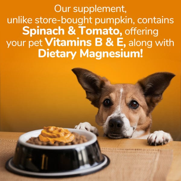 Fruitables SuperBlend Digestive Supplement for Dogs & Cats - Probiotic & Prebiotic Support for Healthy Digestion - Perfect for Sensitive Stomachs & Mealtime Mix-Ins