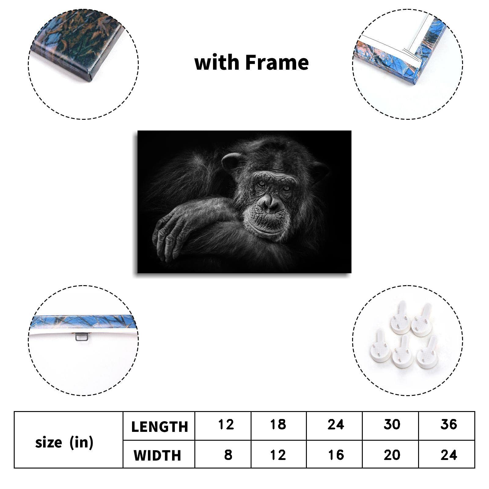 Premium Chimpanzee Canvas Wall Art - 18