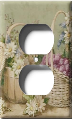 Single Duplex Outlet