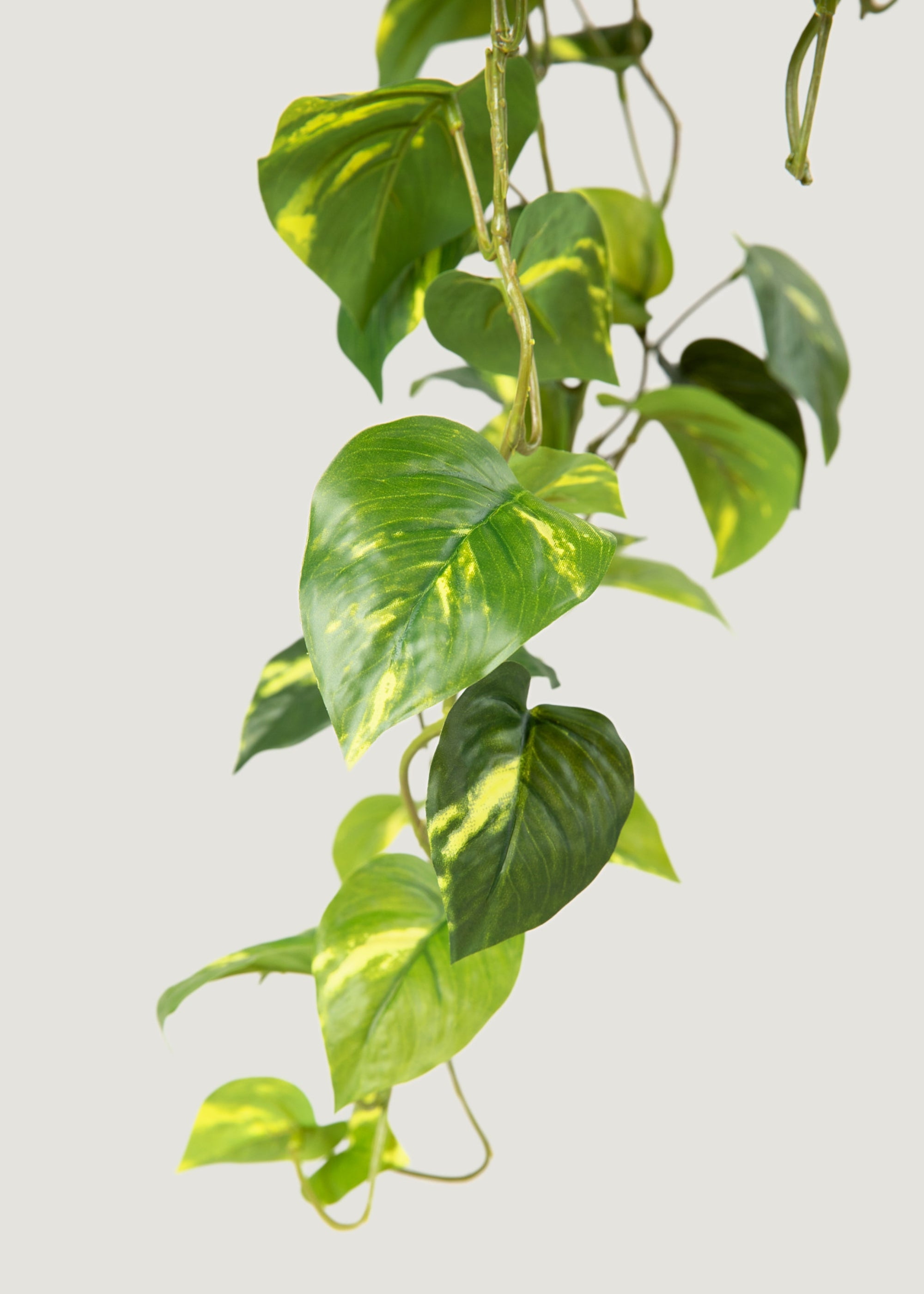 Real Touch Pothos Artificial Hanging Plant - 36