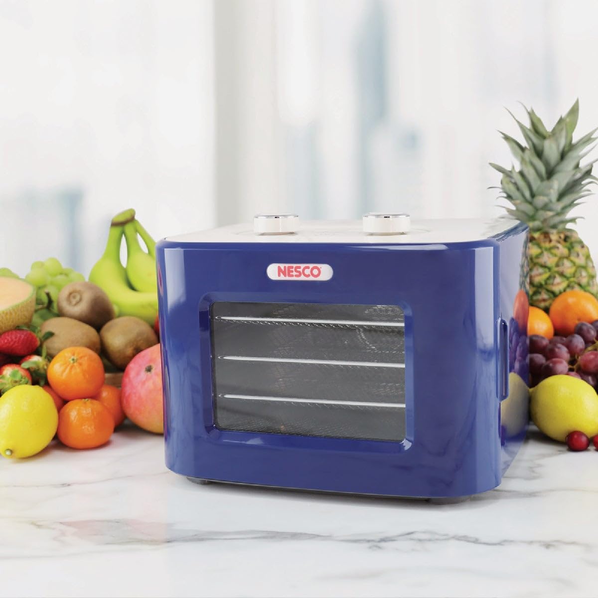 NESCO FD-41B Snackmaster Jr Food Dehydrator - 4-Tray Electric Dehydrator for Beef Jerky, Dried Fruits, Herbs, Yogurt & Healthy Snacks | Compact & Energy Efficient | Perfect for Home Kitchen, Camping & Meal Prep (Blue)